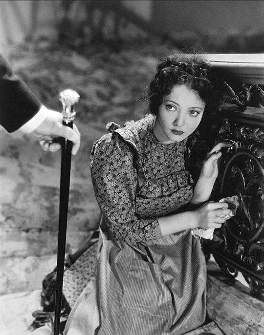 珍妮姑娘原版,珍妮姑娘深度解析