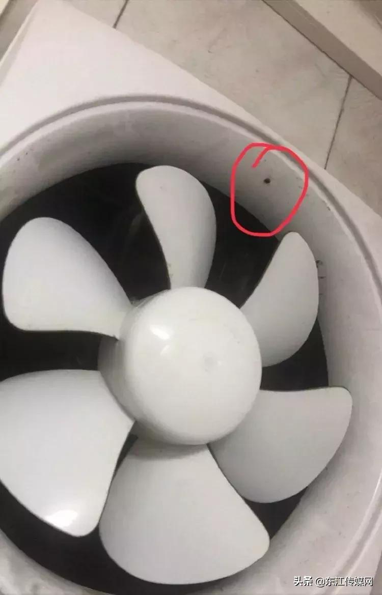 女子洗完澡后发现针孔摄像头,女孩洗完澡发现针孔摄像头