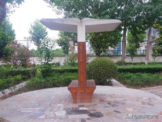 新乡市真“中”高中,每年几千人考上一本