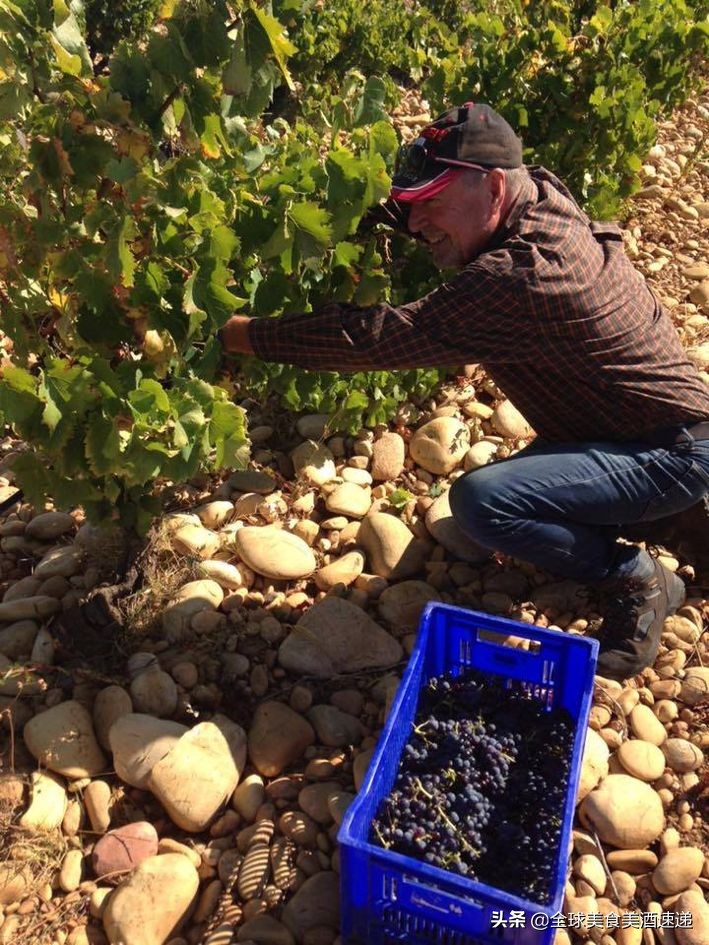 法国葡萄园工人收入,在法国葡萄酒厂打工赚钱吗