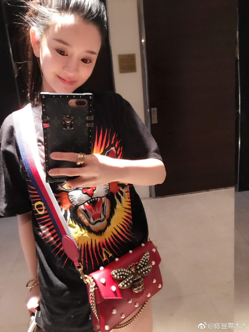 陈昱霖的奢侈品,陈昱霖同款珠宝包