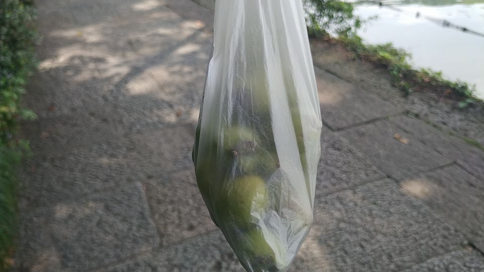 西湖风物志：随处可见的绿果果，老杭州都说是宝贝，竟然免费捡？