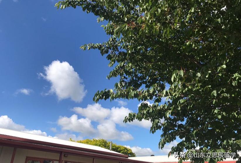 立思辰留学最好的学校,立思辰留学录取名校