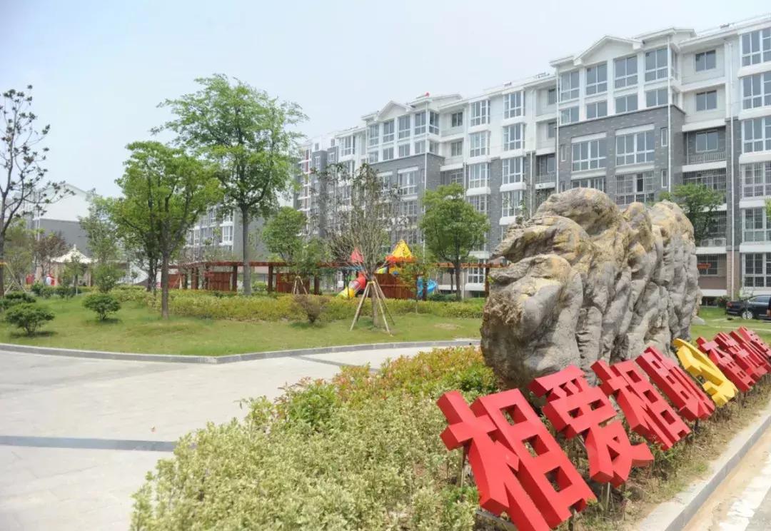 院落鸟语花香,环境优雅漂亮的小院