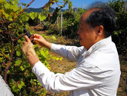 辽宁旅游抚顺,抚顺旅行跟团一日游