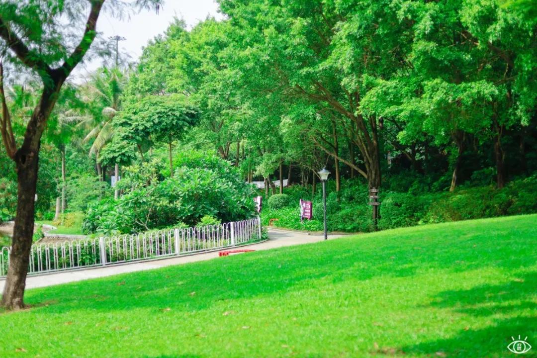 深圳宝藏公园风景图片,深圳宝藏自然游乐区