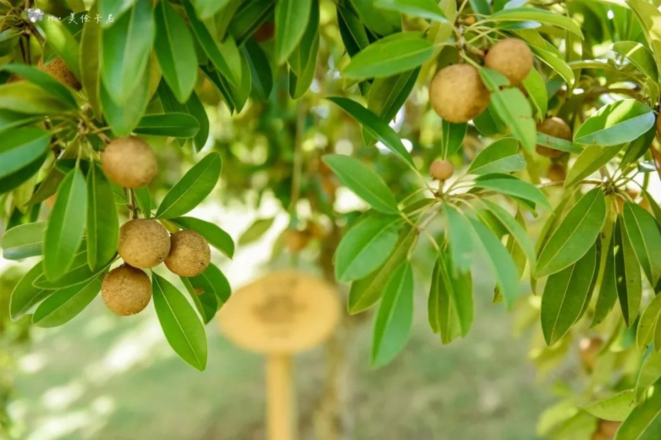 亚龙湾亲子酒店推荐适合带孩子,亚龙湾最适合亲子游的度假酒店