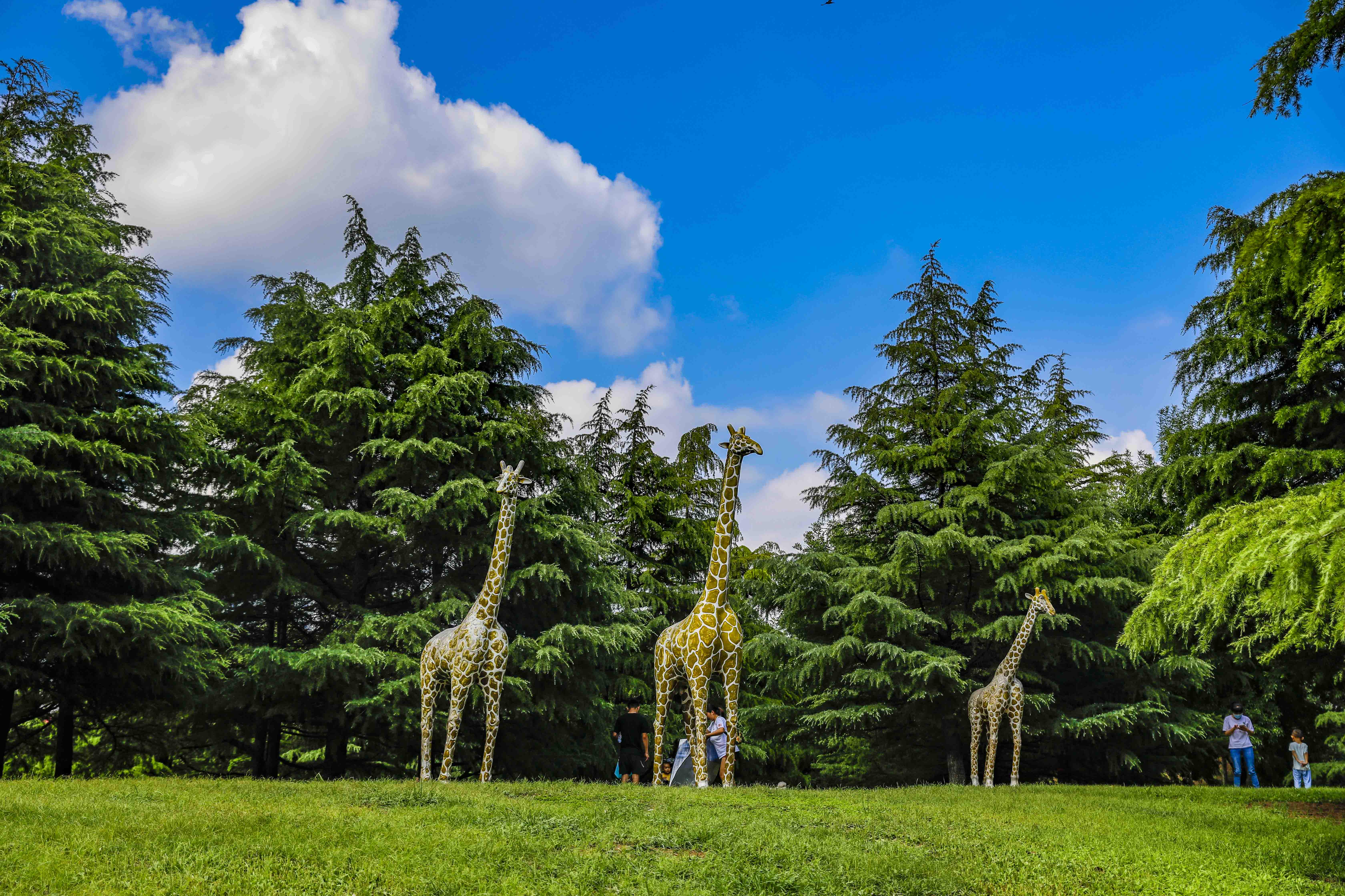 青州夏季一日游的好地方,青州周末旅游攻略