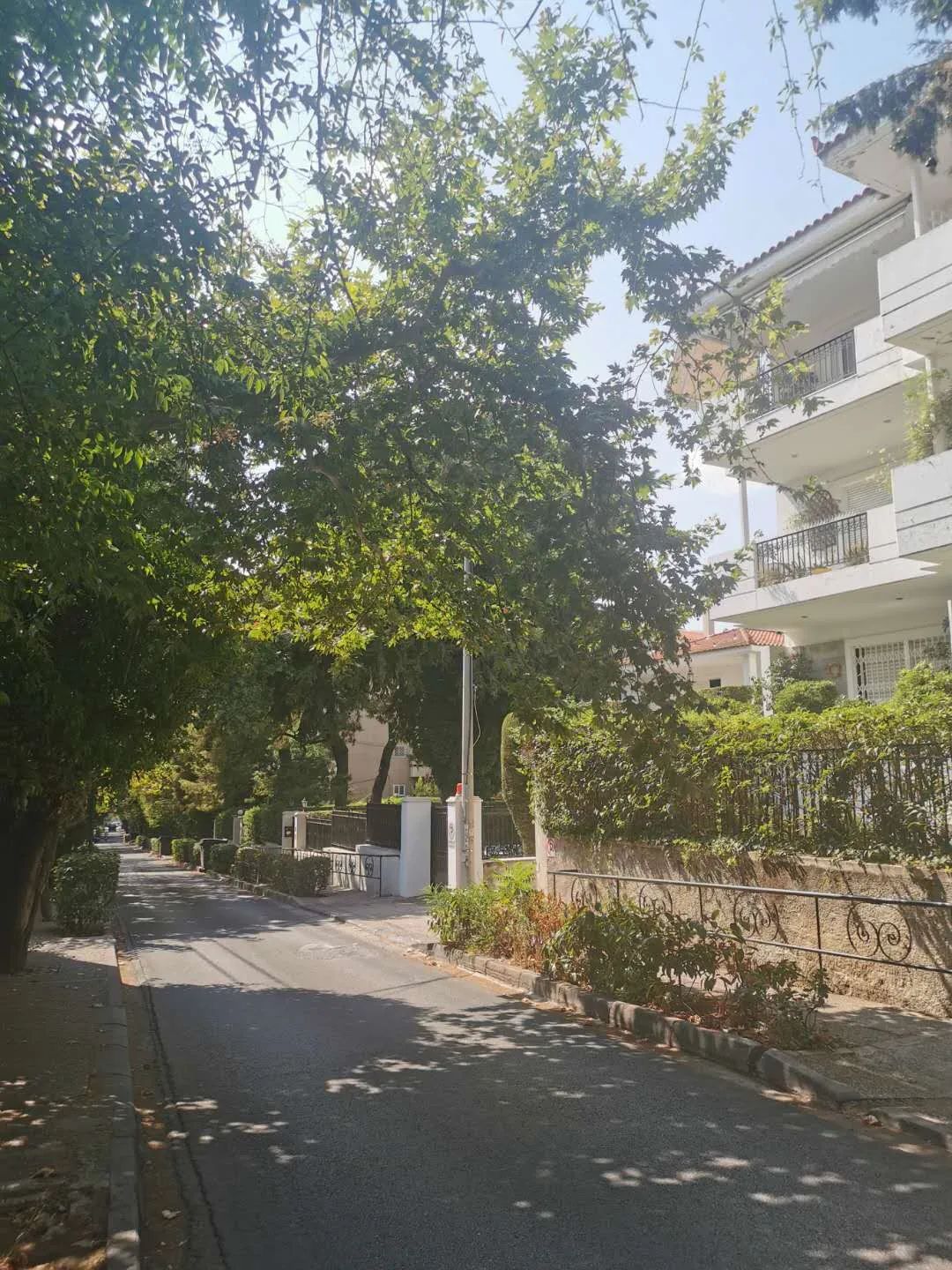 希腊移民讲解,希腊移民最省钱方法