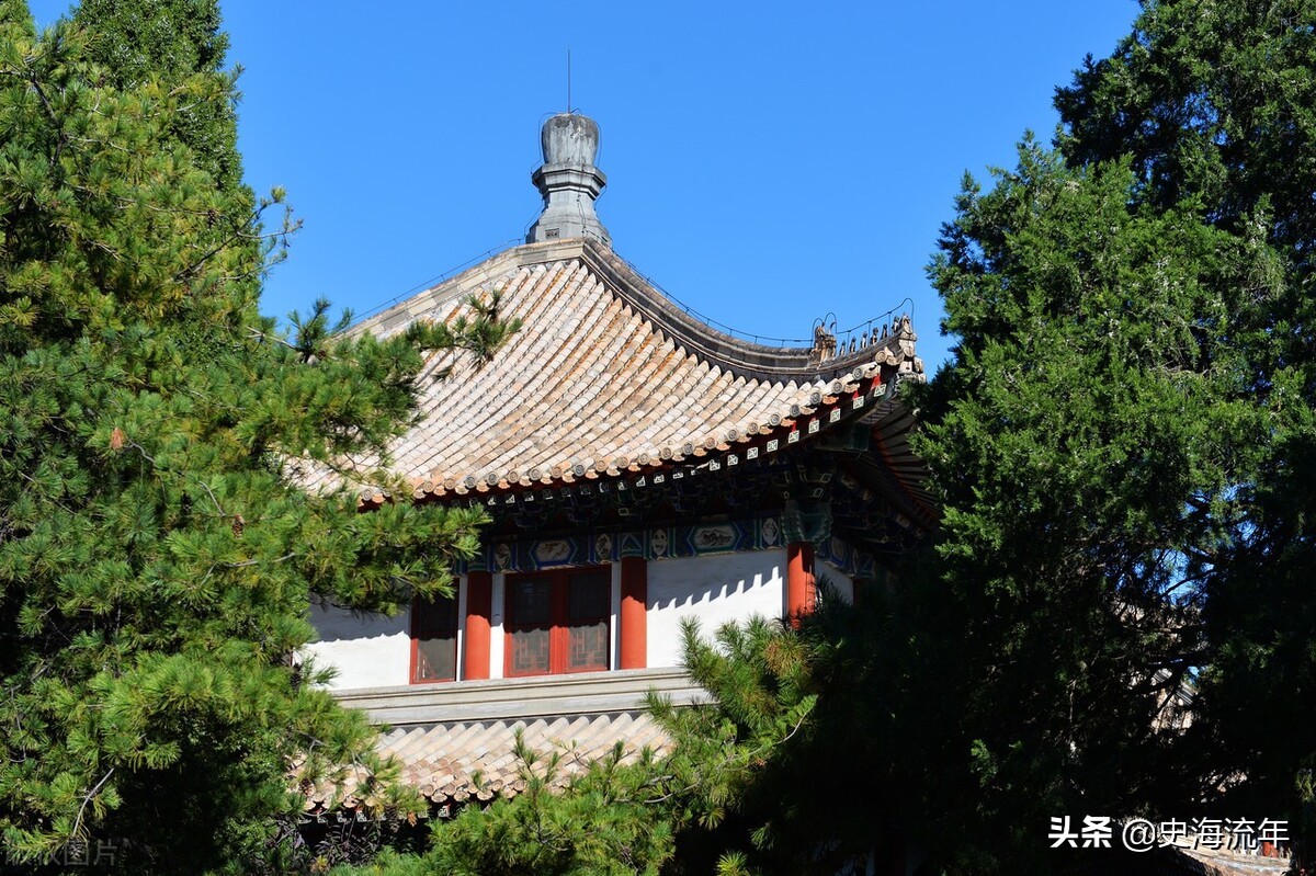 北大法学专业全国排名,北京各大高校法学专业排行榜