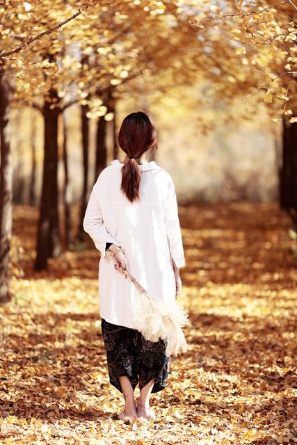 时光被谁卷起，开合中写下回忆