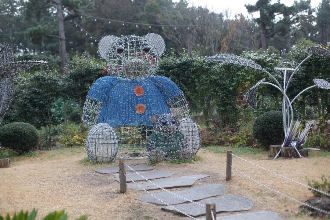 济州岛应该冬天去还是夏天去,冬日济州岛怎么玩