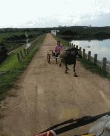 回家的路上看到这么多钱,背包都装不下啊,现在该怎么办