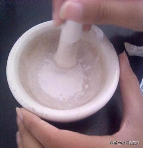 养富贵竹好黄怎么办,养富贵竹有什么禁忌吗