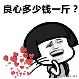 8万左右缔途豪华房车,国内最便宜的缔途房车