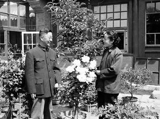 老舍一生中结过几次婚,老舍一生婚姻观