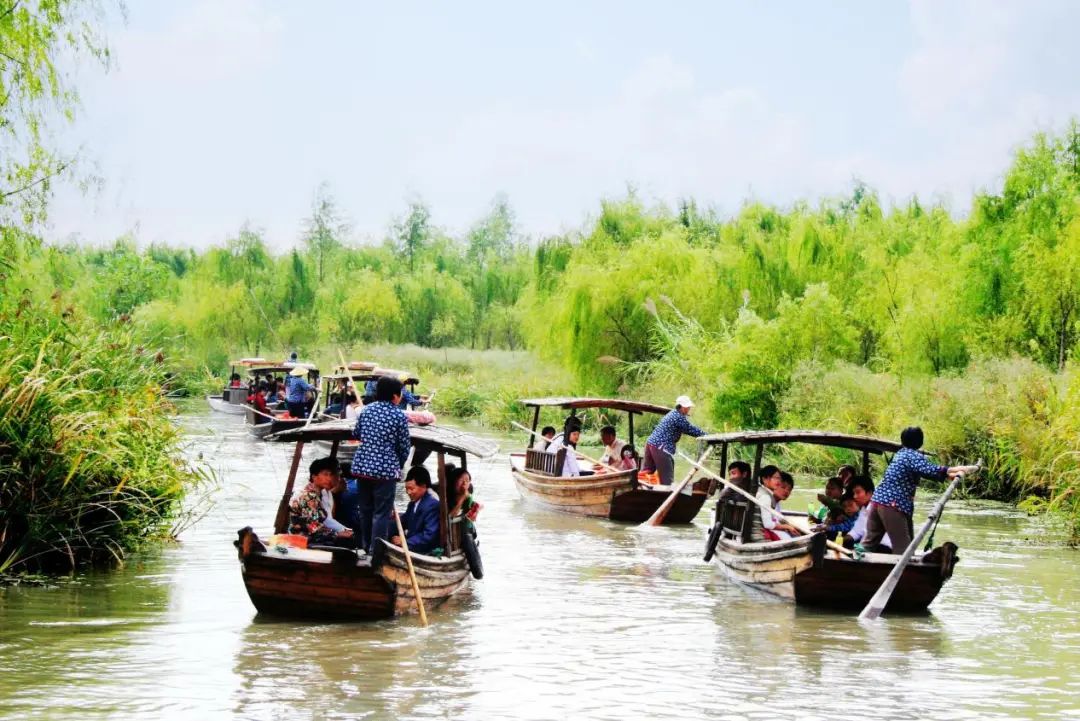 浓情端午|泰州三日游线路送上，水韵休闲风走起