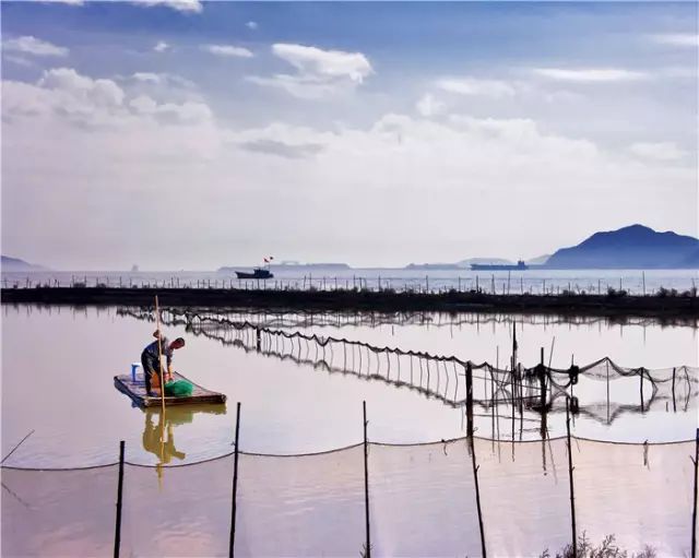 台州三门赶海民宿,三门民宿推荐浙江