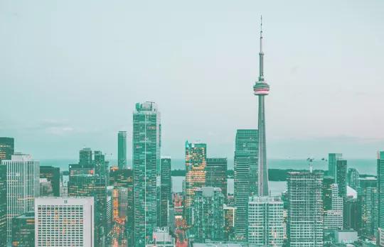 杏林花开片片红只留仁爱满芬芳|郑大一附院郑东院区康复医学科主任魏向阳