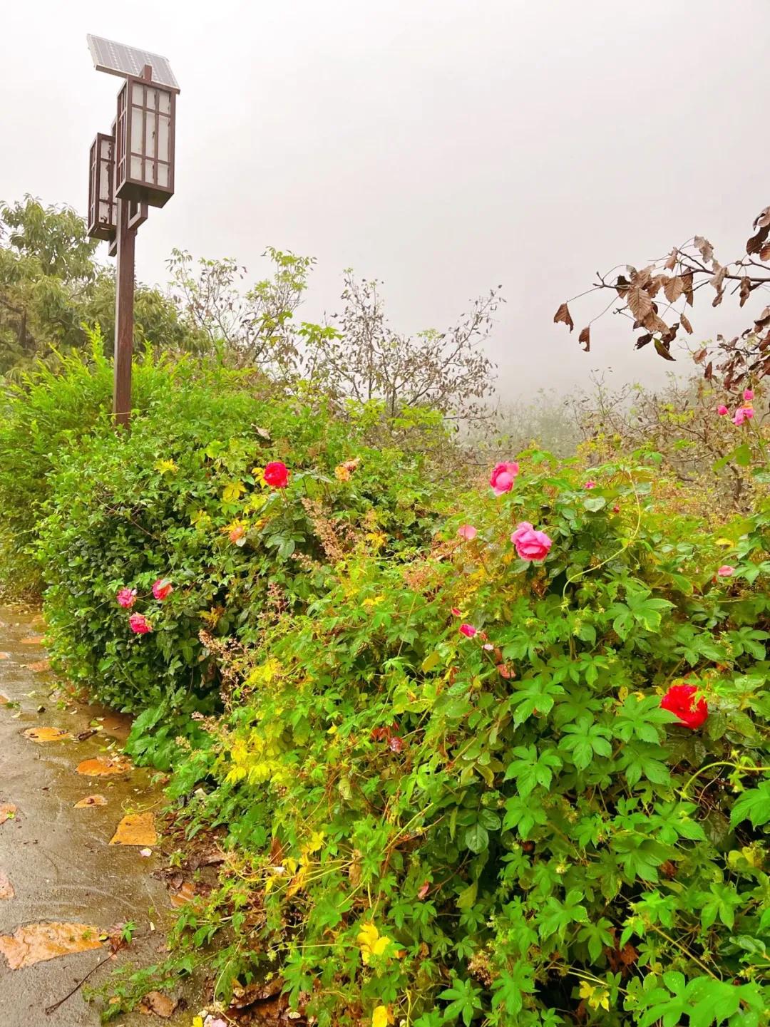 蓟州农家院哪家最好最好玩,蓟州农家院包院人均100元