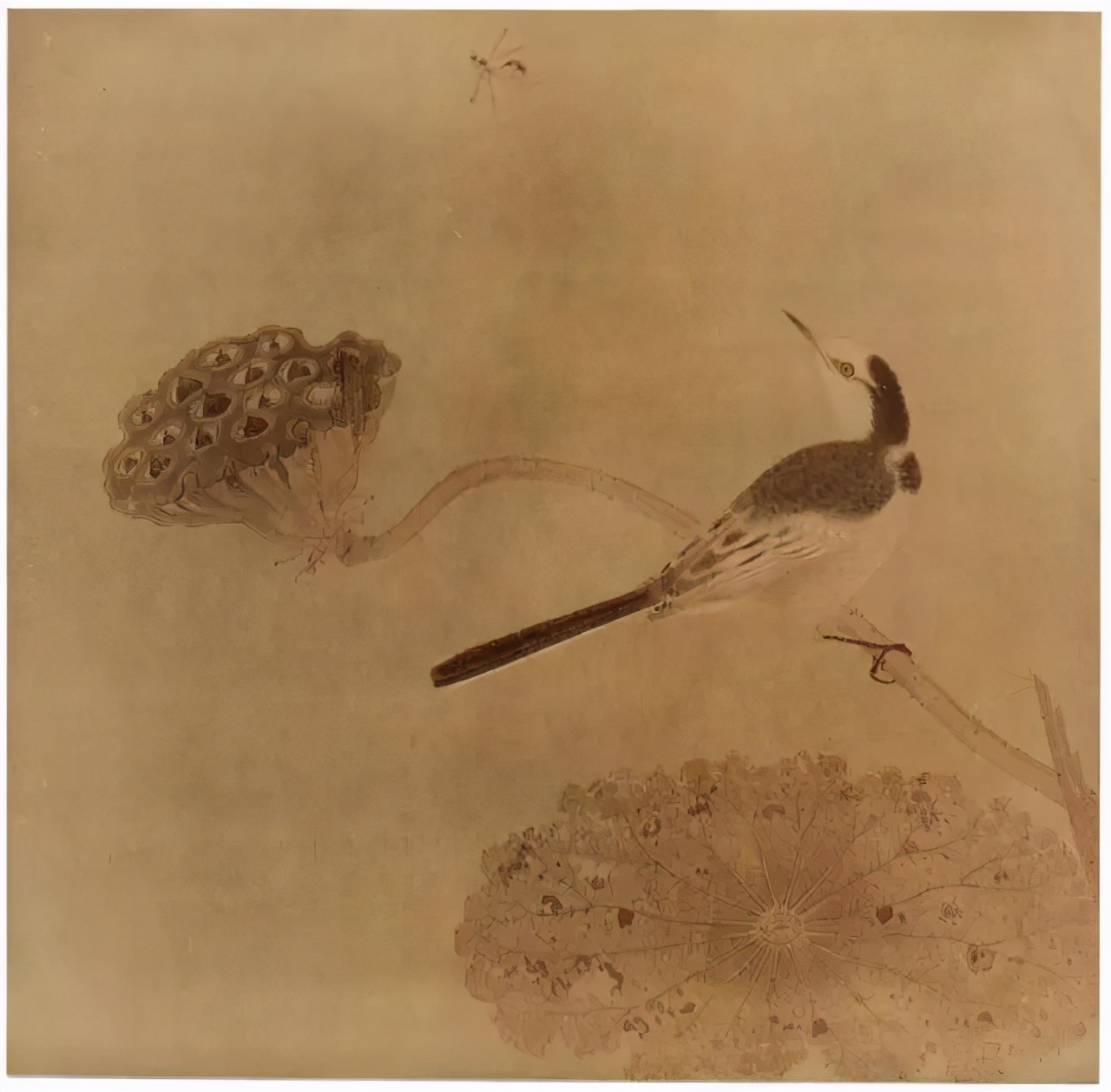 宋画大系花鸟卷,宋画花鸟卷