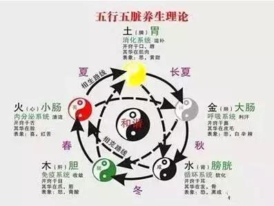 什么是气虚、血虚、阴虚、阳虚？该如何调理？