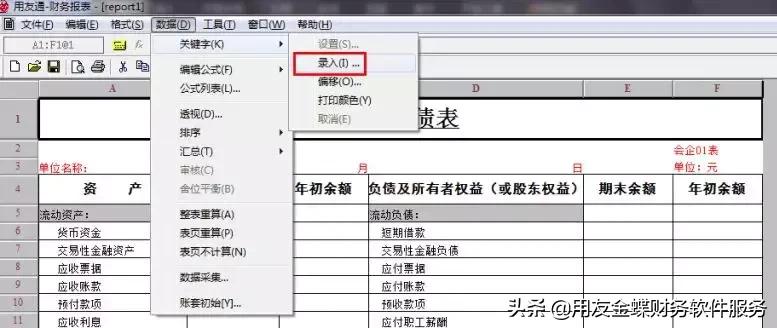 财务软件分析,财务软件t+