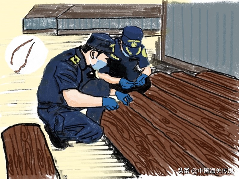 婕瘽鍎跨瀹夊叏,鍥介棬鐢熺墿瀹夊叏鍔ㄦ极瑙嗛