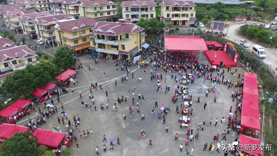 山水园间，心系洋畲