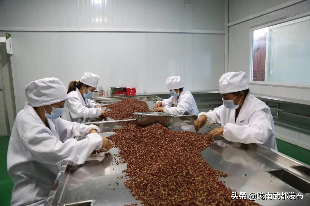 阐述武都区花椒种植产业,武都花椒产业标准化