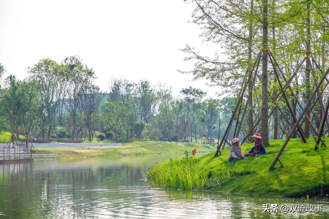 双流美丽公园城市,成都双流湿地公园美景