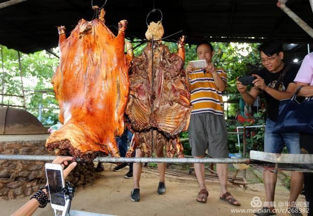 文蕴秀岭,馨怡乐园|廉江文秀岭农牧场散记