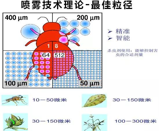 红蜘蛛反复杀也杀不完,红蜘蛛究竟能不能彻底消灭
