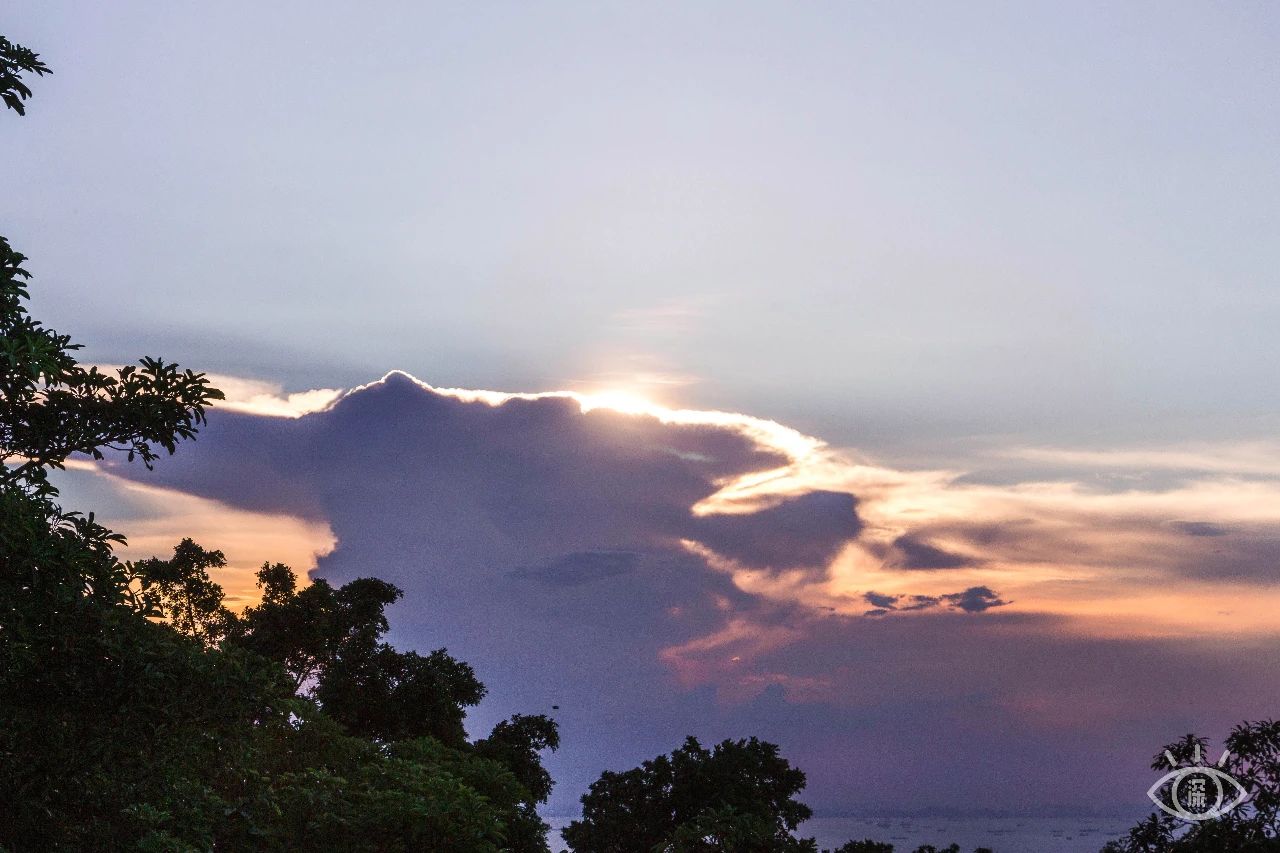 去深圳免费游玩的10个地方,深圳免费游玩景点推荐