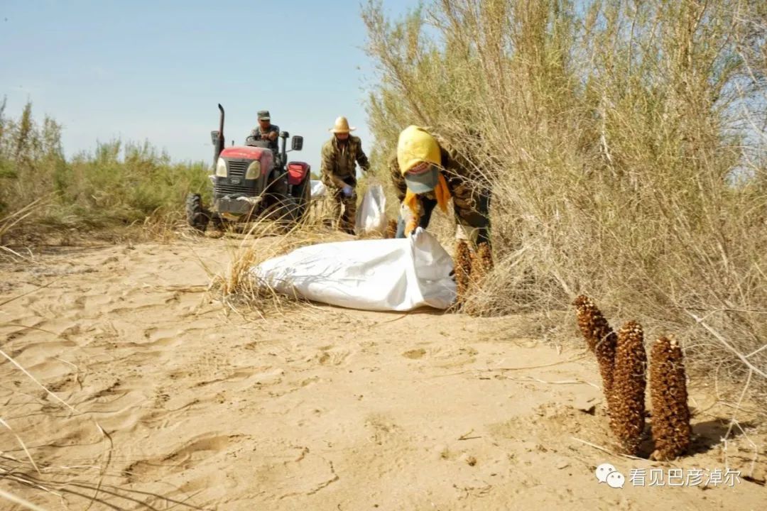 来认识一个不一样的我翻译,来认识不一样的滑雪