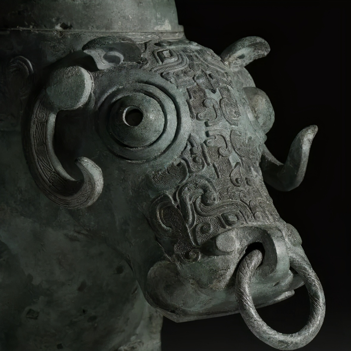 这两位的恩爱狗粮,我们甘拜下风