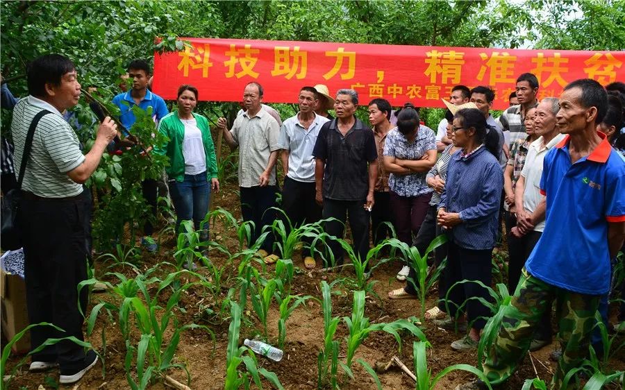 中农富玉大事记,中农富玉未来发展趋势