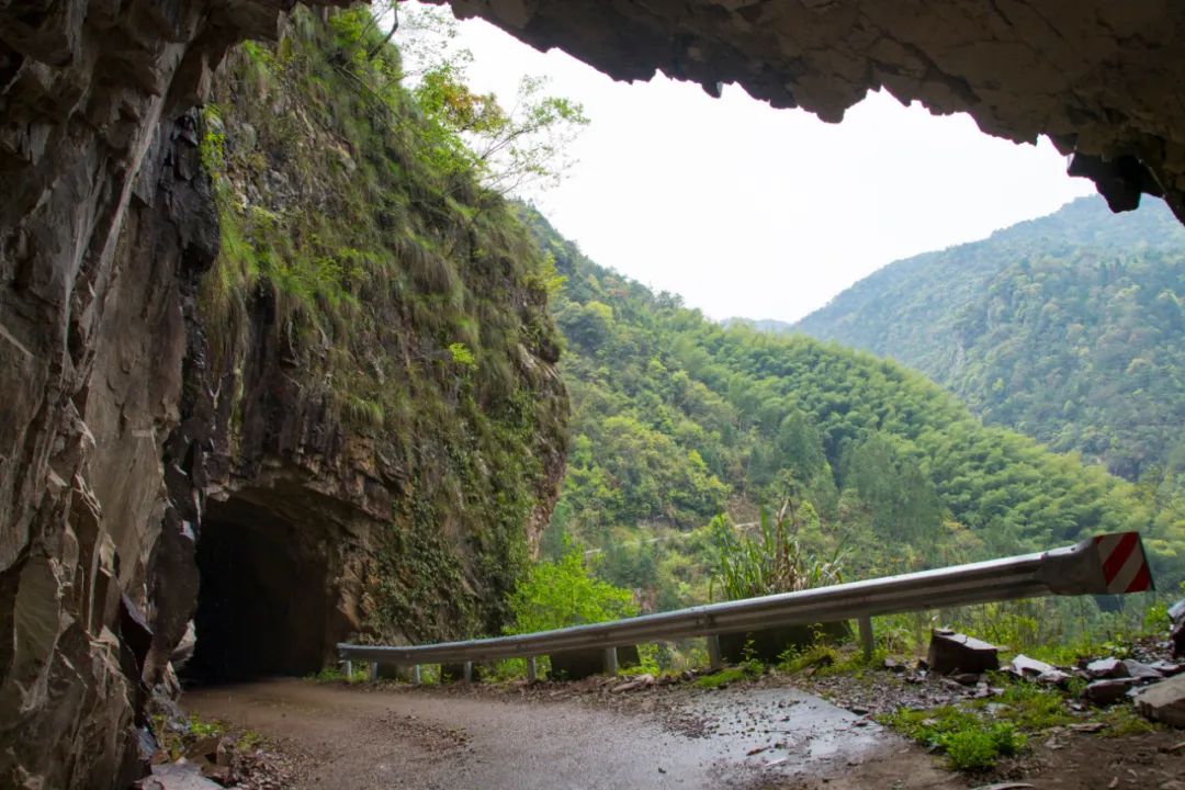 探访悬崖峭壁,大峡谷绝壁长廊