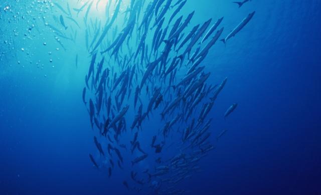 测一测你适合什么脸色,测一测你的性格主导色金色