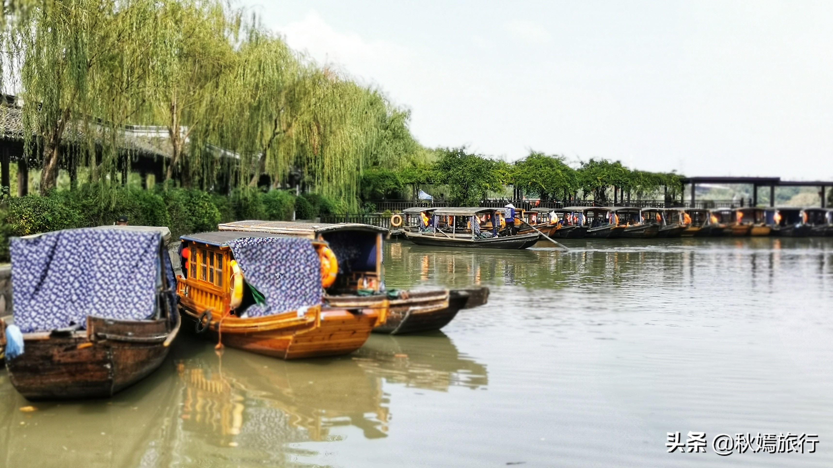 这座华东地区最大的湿地公园,拥有一千多亩芦苇荡,游客络绎不绝