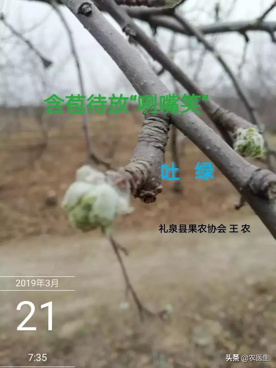 一线实战专家,一线实战导师经验丰富