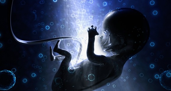 胎儿胎盘脐带在肚子里的结构,胎儿胎盘及附属物