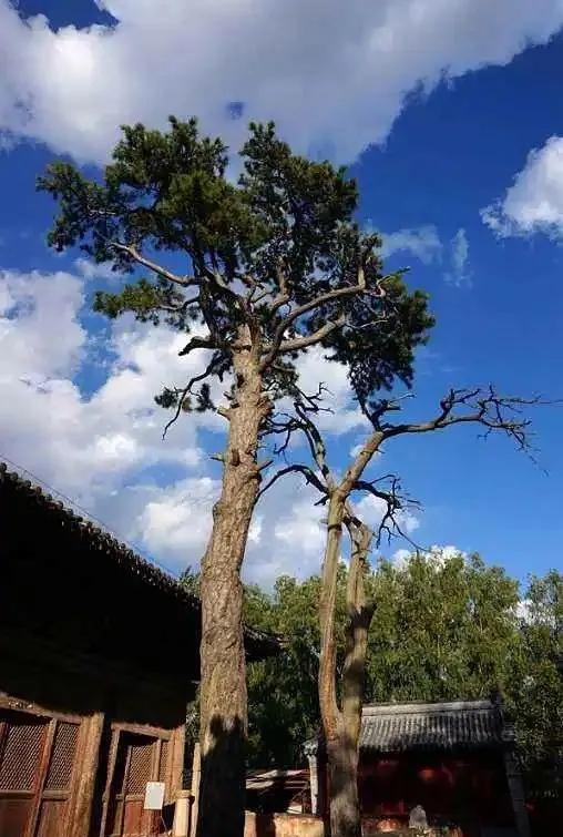 保定有一个县叫什么县,保定涞源免费好去处