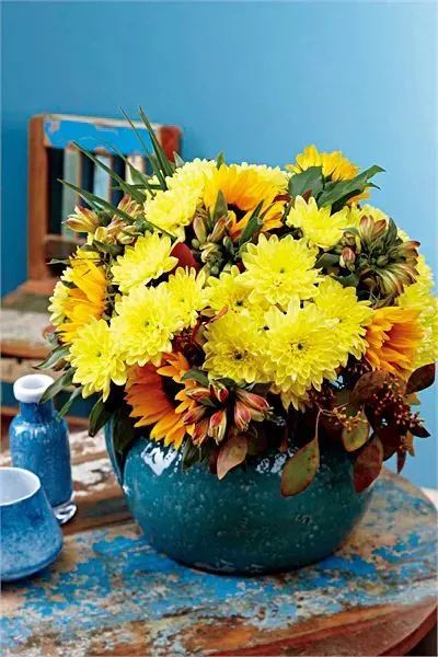 好看的切花菊推荐,好看好养的切花菊