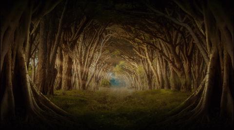 知乎热榜在哪里,知乎热榜排名