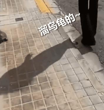 鐤儏鏈熼棿鑺卞紡浣滄,鐤儏鏈熼棿浣滄鐨勪汉