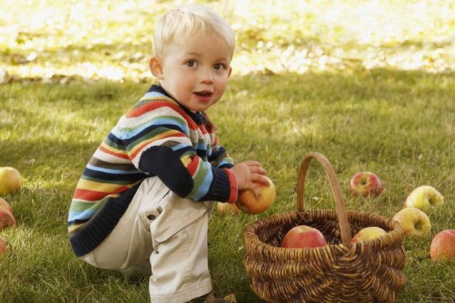 不知道的苹果小知识,小苹果有几种