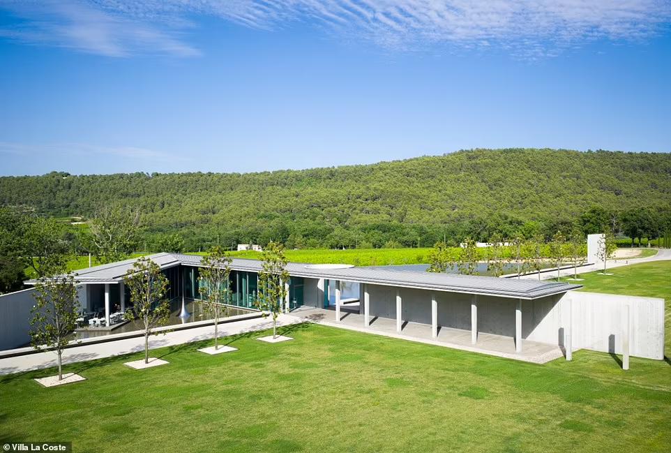 和侃爷恋情曝光！C罗前女友伊莲娜：从二线内衣模特到顶流收割机