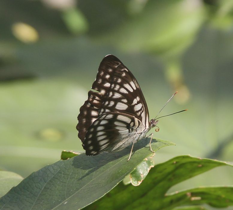 比60d高端的相机,60d单反相机价格