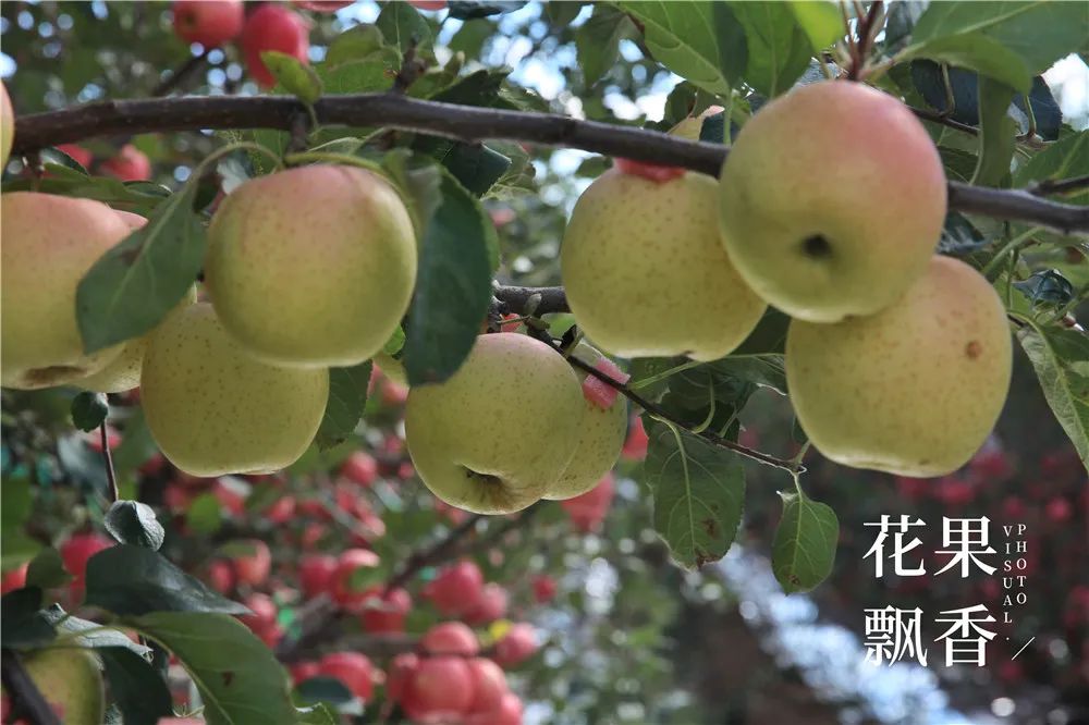 农场用地需要投资多少,农场建设投资